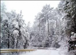مری اور گلیات میں شدید برفباری کا آغاز
