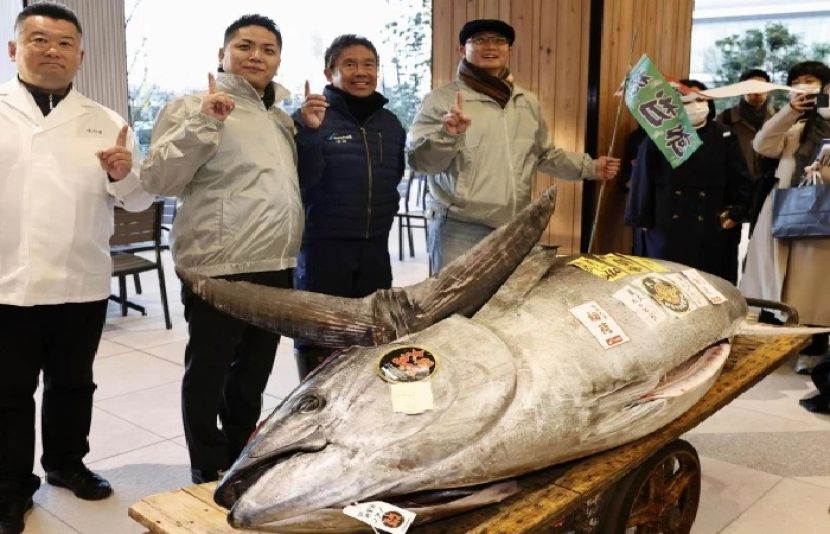 ٹوکیو کی ٹویوسو فش مارکیٹ میں بیوپاریوں نے 20 کروڑ 7 لاکھ ین میں 276 کلو گرام بلیو فِن ٹونا خریدی۔