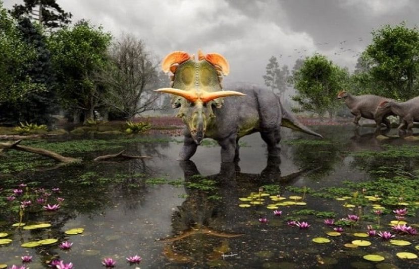 امریکی سائنسدانوں نے سینگوں والے ڈائنوسار کی ایک نئی نسل دریافت کی ہے