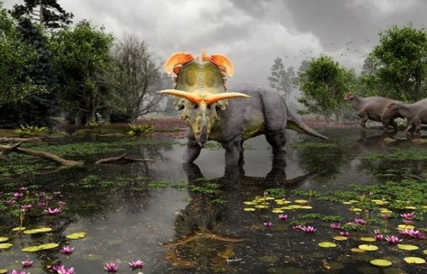 امریکی سائنسدانوں نے سینگوں والے ڈائنوسار کی ایک نئی نسل دریافت کی ہے