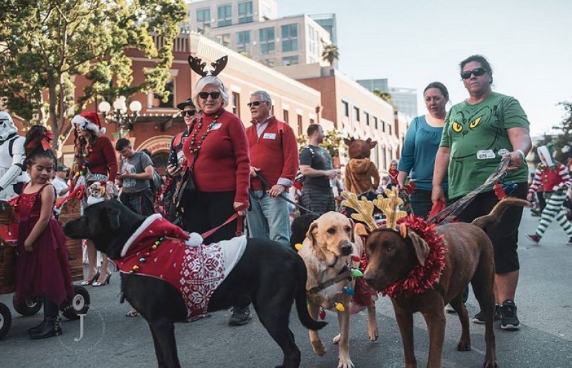 کتوں کی سب سے بڑی پریڈ،عالمی ریکارڈ قائم