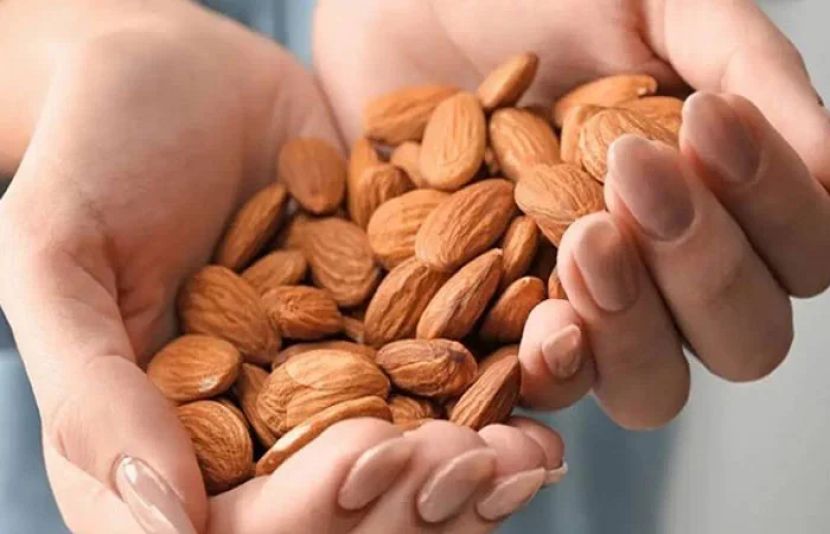 بادام کھائیں بیماریاں بھگائیں، جدید طبی تحقیق