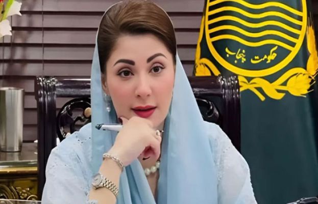 وزیراعلیٰ پنجاب نے فضائی آلودگی پھیلانے والوں کے خلاف بھرپور کریک ڈاؤن کی ہدایت