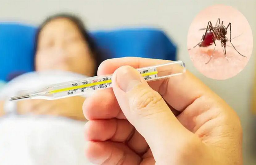 راولپنڈی میں ڈینگی کے 16 نئے کیسز رپورٹ
