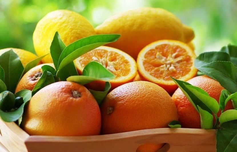 سنگترے کی خوبی