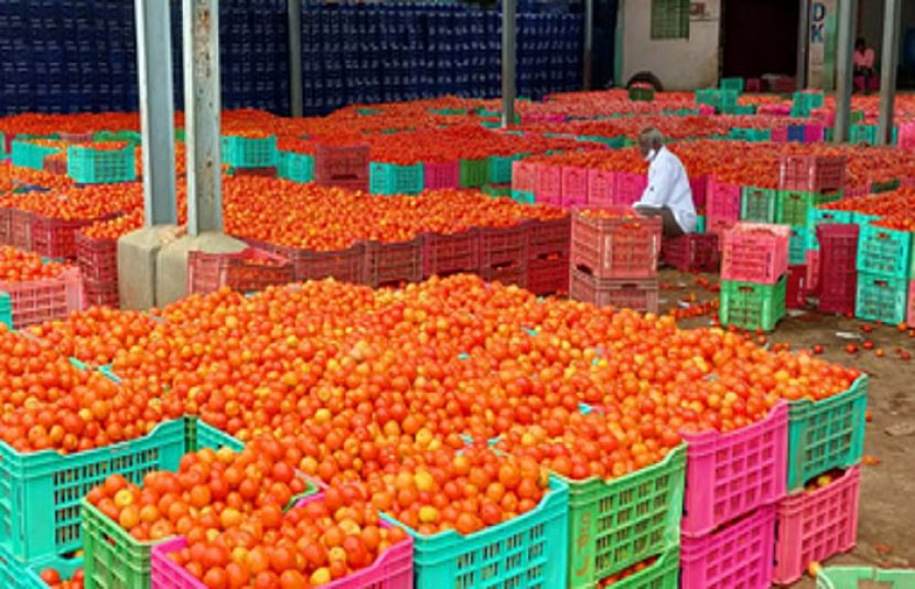 ملک بھرمیں ٹماٹرکی قیمتوں میں حیران کن اضافہ