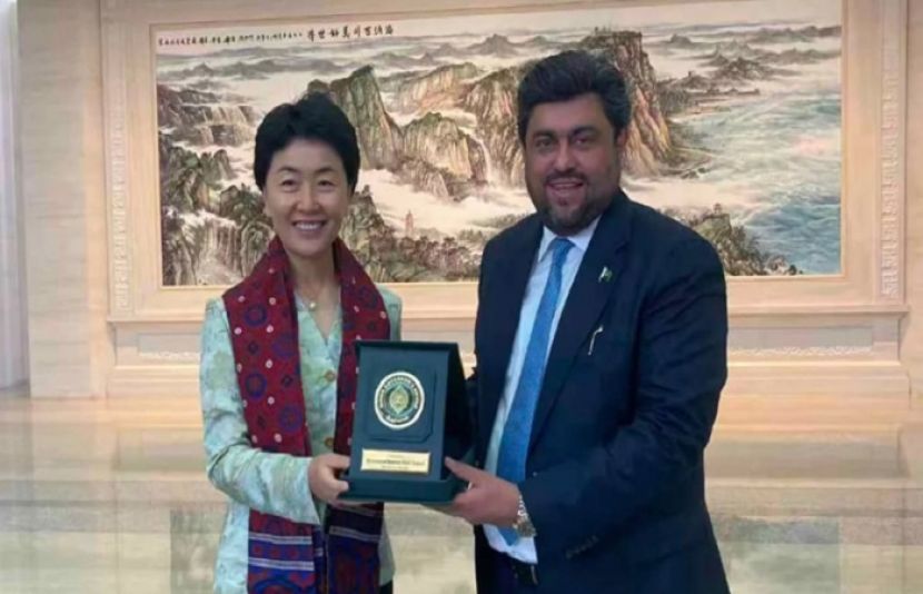 گورنر سندھ کی چینی نائب وزیر سے ملاقات، معاہدوں پر عمل درآمد کو یقینی بنانے پر زور