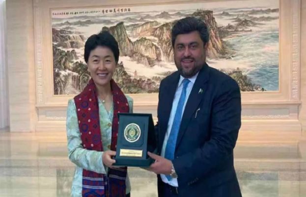 گورنر سندھ کی چینی نائب وزیر سے ملاقات، معاہدوں پر عمل درآمد کو یقینی بنانے پر زور