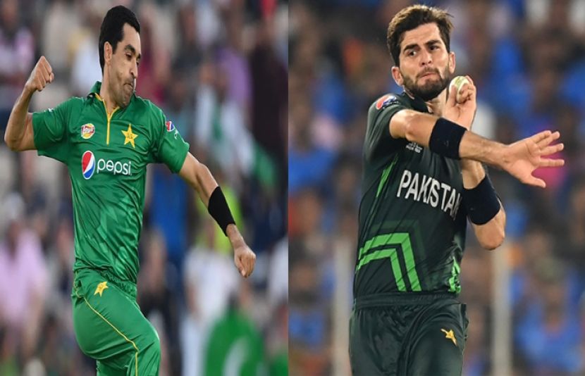 شاہین آفریدی، عمر گل