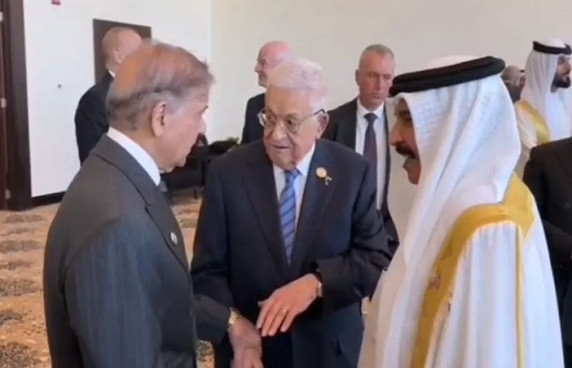 وزیرِاعظم کی مصرمیں فلسطینی صدر سے ملاقات، غزہ میں امن پر اطمینان