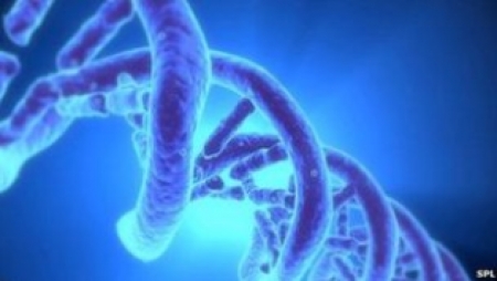 انسانی ڈی این اے پیٹنٹ نہیں کیا جا سکتا