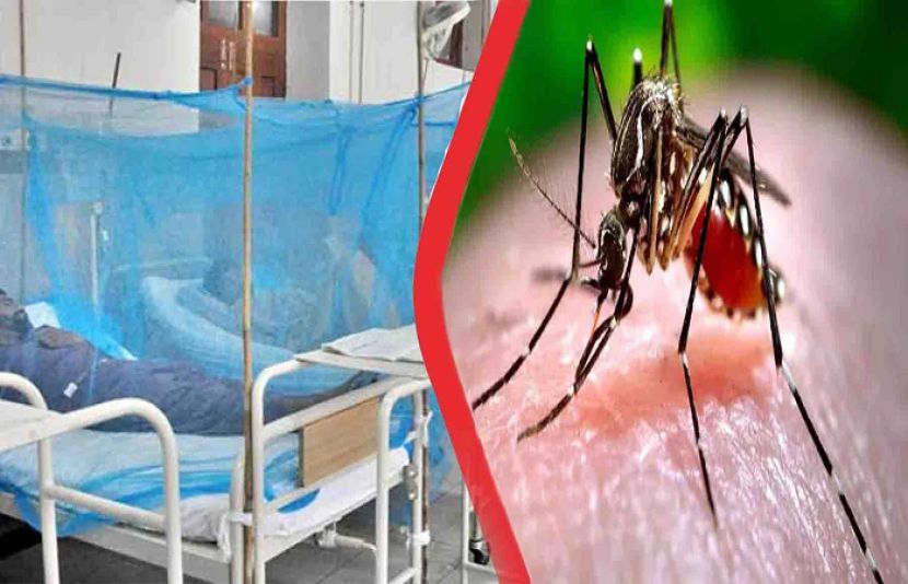 راولپنڈی میں ڈینگی کے کیسز میں ایک بار پھر اضافہ دیکھنے میں آ رہا ہے